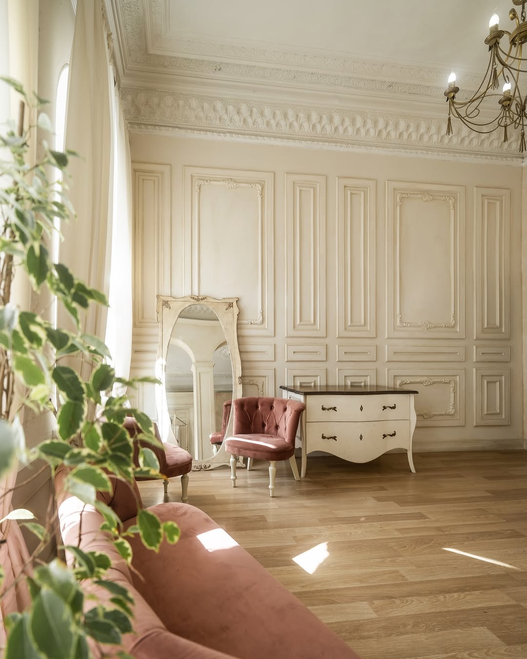 Capsula - фото 9